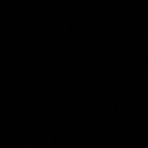 Meet your Posher, Tenille